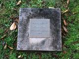 image of grave number 964432
